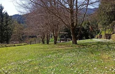 Il Bosco di Campo Marzano Nature Retreats - Foto 41