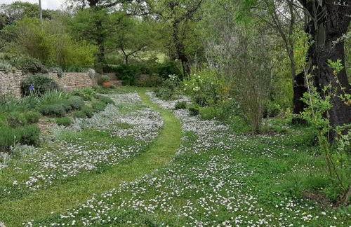PERGOLA at Le Pietraie a cottage with many flowers - Foto 25