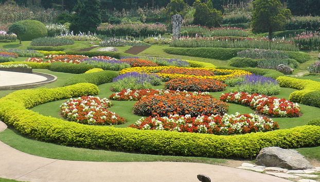 Dia Inteiro Doi Tung e Salão do Ópio - Foto 4