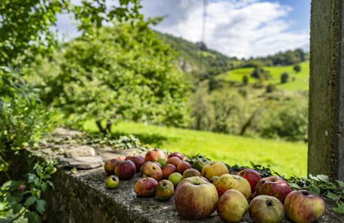 La Casita de Heidi - Foto 20