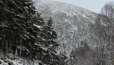 VUT La casita del Pajar - Foto 4