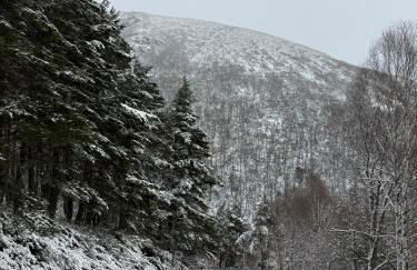 VUT La casita del Pajar - Foto 4