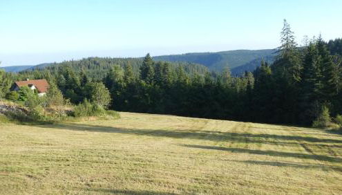 Naturapartment SCHWARZWALDSEELE Kniebis - Foto 5