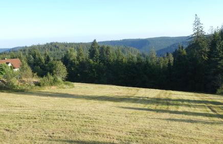 Naturapartment SCHWARZWALDSEELE Kniebis - Foto 5