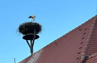 Ferienwohnung am Storchennest - Foto 64