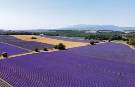 Côté Terrasse - Photo 26