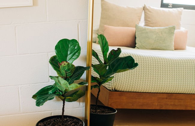 Stellar Suites - Foto 45