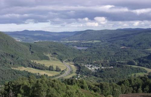 Orchid lodge - Foto 17