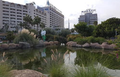 Apartamento bahia park 1a linea " Magic world " - Foto 24