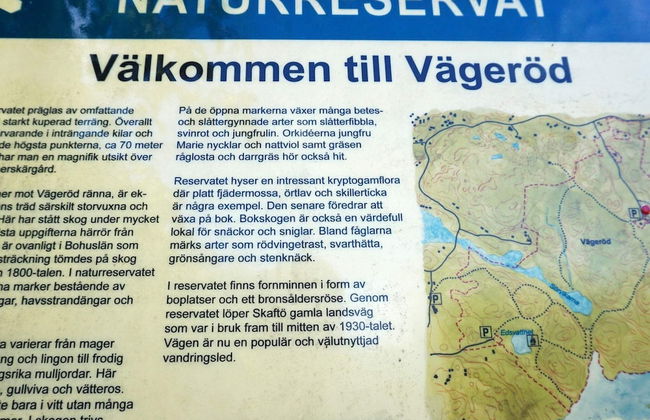 5 Person Holiday Home in Fiskebackskil-by Traum - Foto 9