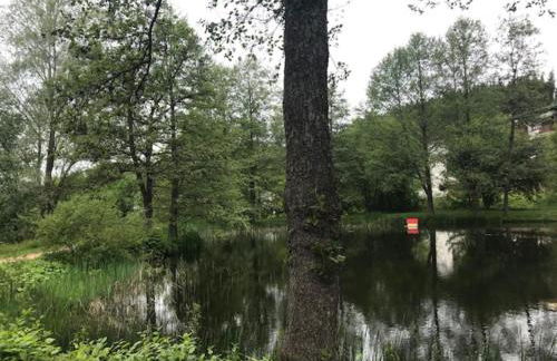 MySchluchseehome Gemütliche Ferienwohnung mit Südbalkon und Pool im Haus - Foto 15