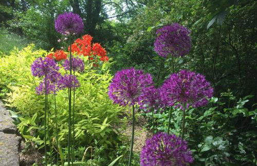 Komfort Maisonettewohnung - Foto 47