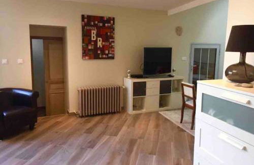 Belle demeure de 1820, classée, à 5 mn de Blois, 10 mn de Chambord - Foto 9