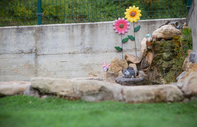 Casa Rural de Pobes Lagun Etxea - Foto 78