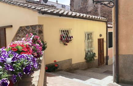 La Casa di Rosa - ArgonautiVacanze - Foto 24