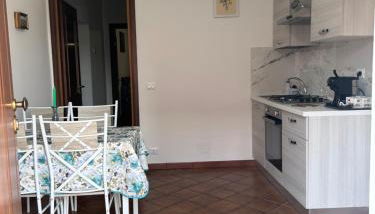 Paloma nel bosco - Foto 4