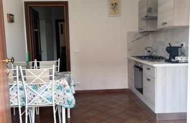 Paloma nel bosco - Foto 4