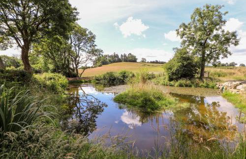 The Moorhen Retreat - Foto 14
