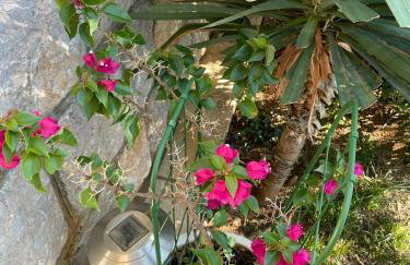Apartman Grospic - Foto 9