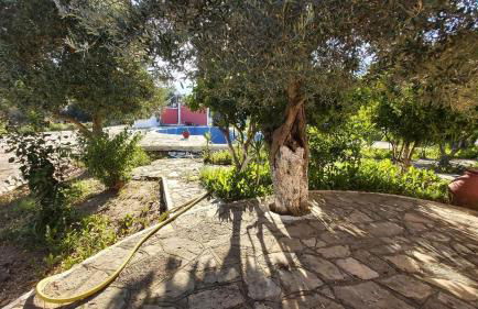 Anastasia Apartments - Foto 47