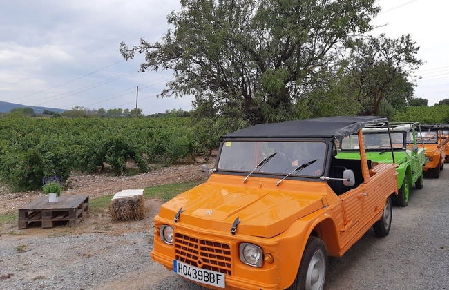 Masia Can Canyes & Spa - Foto 63