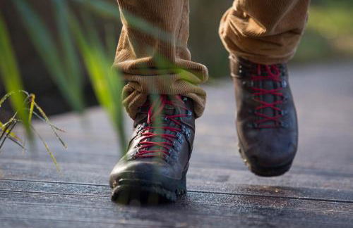 Spreewaldferienhaus - Urlaub - Foto 27