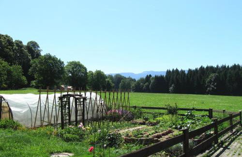 Saliterhof - Foto 10