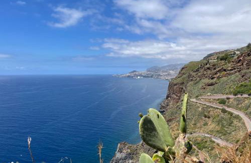 Panoramic Views I I - Foto 24