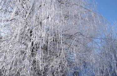 Villa Duck-Dich-Südheide - Photo 39