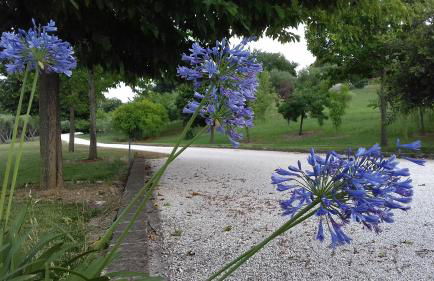 casa Nenella - Foto 32