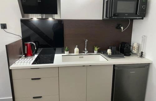 Appart dans villa EUREXPO LDLC ARENA GROUPAMA STADIUM - Foto 10