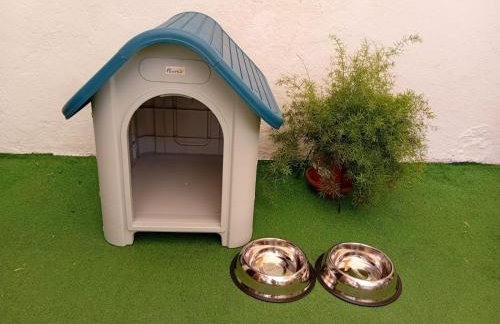 Almaden 7A - Foto 14