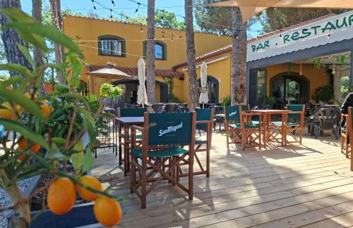 Domaine Des Mimosas - Foto 78