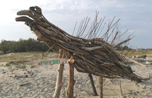 La Casina del Delta del Po - Foto 45