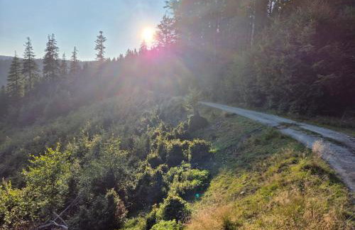 Wypoczynkowy Zakątek w Górach - Foto 19