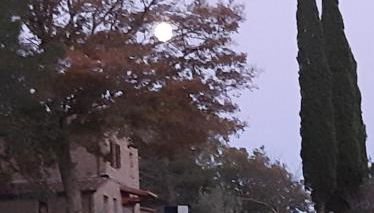 Podere Cagnesi Relax nella natura - Foto 2