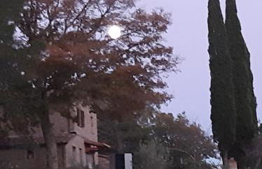 Podere Cagnesi Relax nella natura - Foto 2