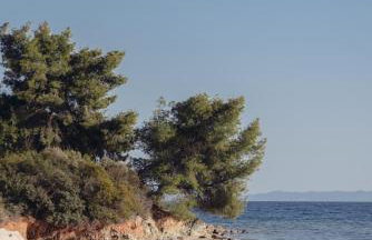 BS Village blue - Photo 37