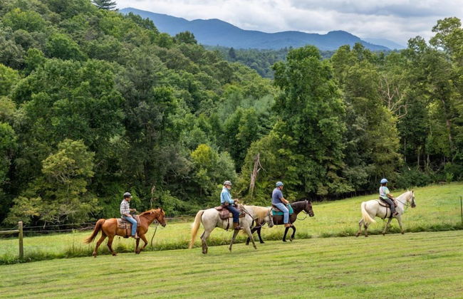 Springmaid Mountain - Foto 54