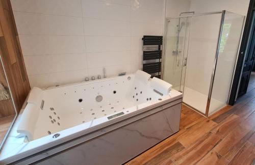 2 pièces, SPA et terrasse, Nancy Thermal - Foto 4