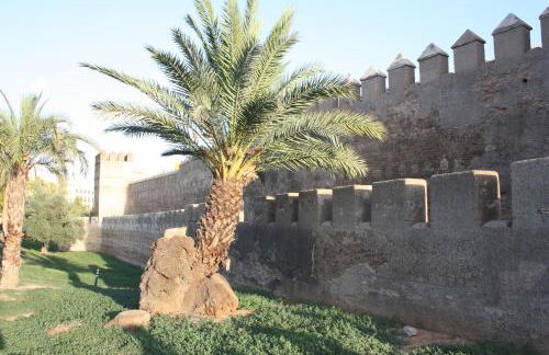 San Luis Downtown & Pool Apartment - Foto 35