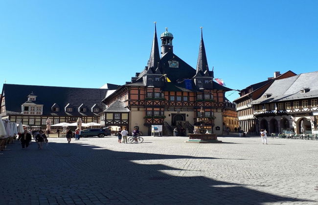 Ferienwohnung Nahe Wernigerode - Foto 41