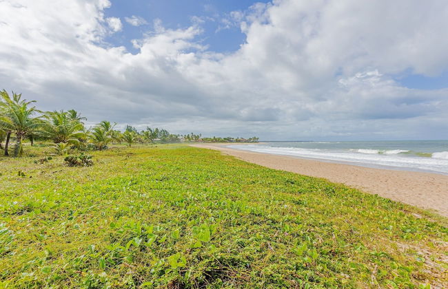 IT57 Apto Pé na Areia - Praia da Espera - Photo 38