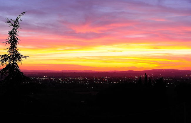 Agriturismo Colle degli Olivi - Foto 19