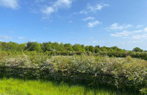 Entire flat 2 to 4 pers 1 bed 1 bath disabled access for limited disability - Foto 33