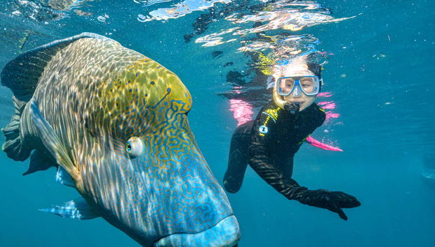 Outer Great Barrier Reef Cruise & Reef Magic Platform - Foto 2