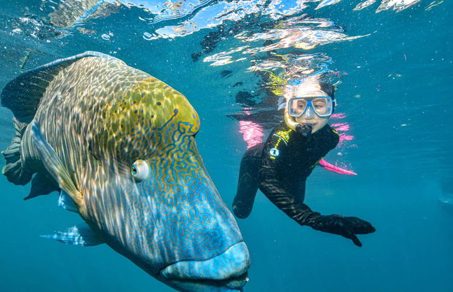Excursión a la Gran Barrera de Coral y plataforma Reef Magic - Foto 2
