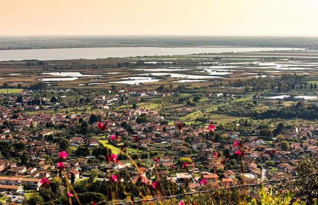 Il Ciliegio Sul Lago 6 - Foto 6