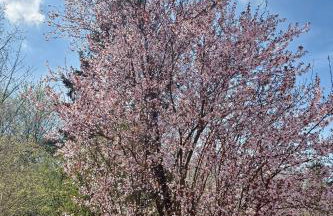 Schöne 120-qm-Ferienwohnung - Sonnenterrasse - Stadtgrenze Lübeck - Photo 3