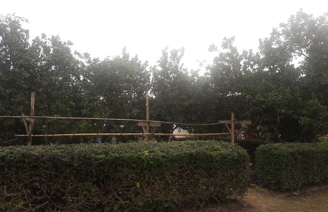 Ramidahost2 - Photo 21